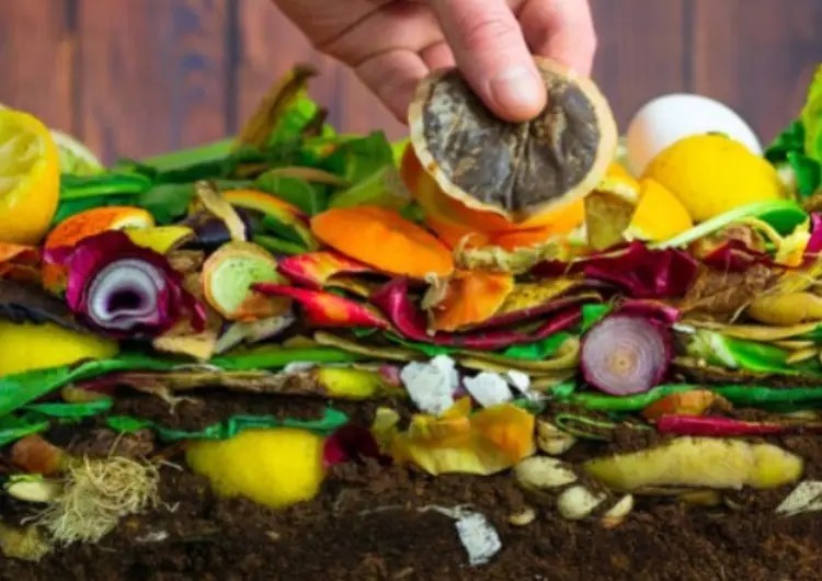 Les erreurs à éviter avec un compost 